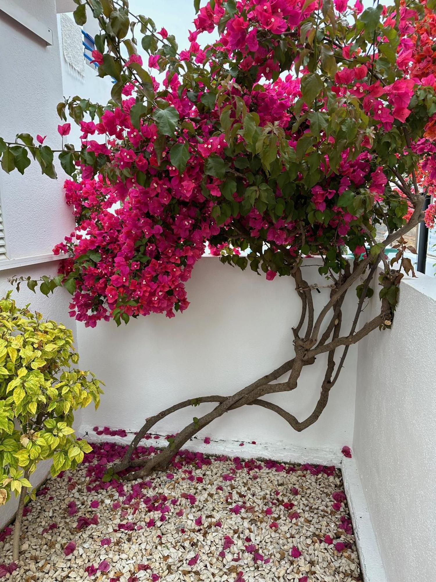 شقة Arto Blanco أغوا امارجا المظهر الخارجي الصورة